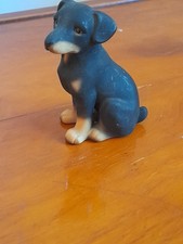 doberman pinscher puppies for sale  WALLINGTON
