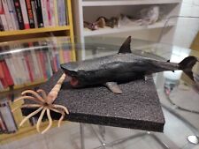Megalodon squalo preistorico usato  Vicenza