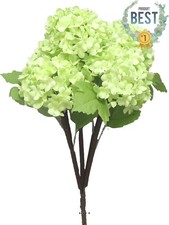 Bouquet fleurs viorne d'occasion  France