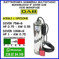 Elettropompa pompa sommersa usato  Pomigliano d'Arco