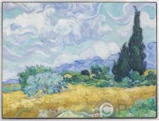 Campo grano con usato  Ciampino