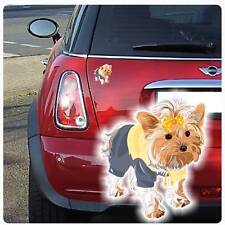 Yorkshire terrier auto gebraucht kaufen  Darmstadt