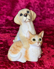 Sherratt simpson dogs for sale Sherratt simpson dogs for sale  ELLESMERE