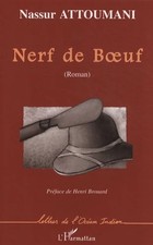 Nerf nassur attoumani d'occasion Nerf nassur attoumani d'occasion  Hennebont