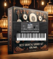 Usado, Conjunto de som oriental para Korg Pa600 – O melhor e mais bonito conjunto comprar usado  Enviando para Brazil