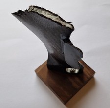 Lewis hamilton damage for sale  READING