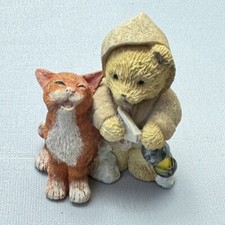 Mayfair bear kitten for sale  COVENTRY