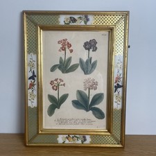 Vintage floral botanical for sale  CAMBRIDGE