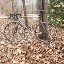 Rosa titanio titanium for sale  Clarksville