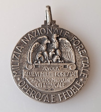 Medaglia milizia nazionale usato  Borgo San Lorenzo
