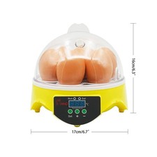 Automatic digital egg for sale  ABERDEEN