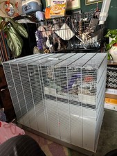 Pets home savic for sale  ERITH