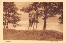 Cpa guerre cavalry d'occasion  Expédié en Belgium