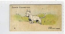 (Gd5602) Cope, Dogs of the World, (escandinavo), West Highland Terrier 1912 Muito bom estado comprar usado (Gd5602) Cope, Dogs of the World, (escandinavo), West Highland Terrier 1912 Muito bom estado comprar usado  Enviando para Brazil