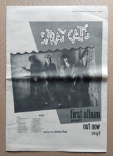 Stray cats first for sale  ULVERSTON