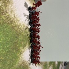 Bloodreavers khorne warhammer for sale  Alsip