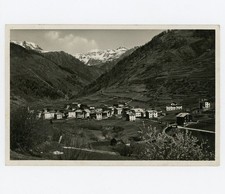 Cogolo val peio usato Cogolo val peio usato  Milano