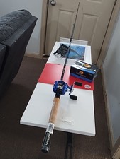 Baicasting fishing rod for sale  Salisbury