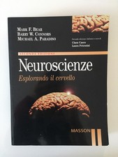 neuroscienze esplorando cervello usato  Roma