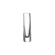 Leonardo home 018624 usato  Roccagloriosa