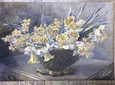 Watercolour daffodils still for sale  NEWTON STEWART