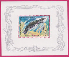 1965 softshell turtle d'occasion  Expédié en Belgium