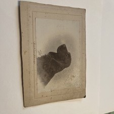 Vintage picture dog for sale  DONCASTER