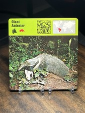 Giant anteater 1976 for sale  Dexter