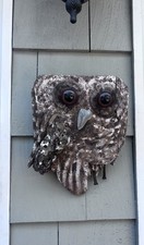 Great horned owl for sale  Chelmsford