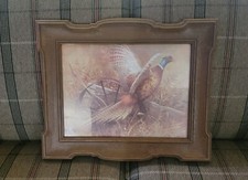 Robert abbett pheasant for sale  Sherrodsville