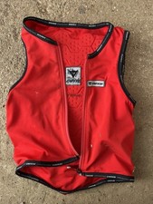 Dainese body protector for sale  NORWICH