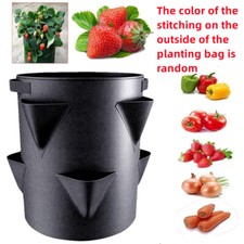 Strawberry planters outdoor for sale  HATFIELD