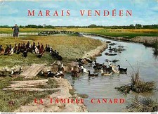 Animaux oiseaux canards d'occasion  Fruges