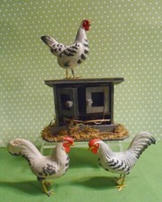 German putz chickens for sale  Saint Peters