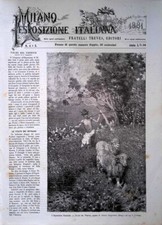 Copertina milano esposizione usato  Enna