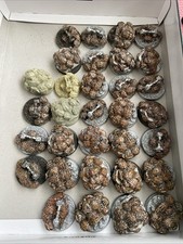 Necron resin cast for sale  STOCKTON-ON-TEES