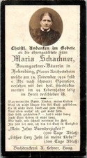 Sterbebild maria schachner gebraucht kaufen  Singen (Hohentwiel)