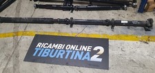 Alb 5023 albero usato  Guidonia Montecelio
