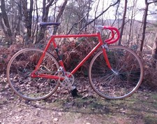 freddie grubb for sale freddie grubb for sale VIRGINIA WATER