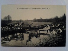 Cpa chantilly chasse d'occasion Cpa chantilly chasse d'occasion  Rochefort