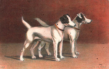 Old postcard dogs d'occasion  Expédié en Belgium