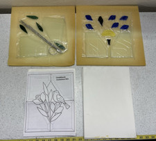 Goldfinch audubon kit for sale  Hemet