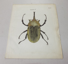 C1780s antique print for sale  Monroeville