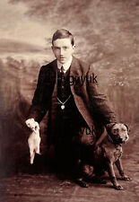 Cabinet card rabbit for sale  CHESTERFIELD