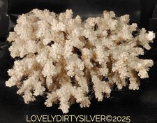 Large natural genuine for sale  Matamoras