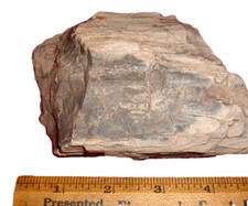 Chunk petrified wood for sale  La Junta