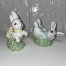 rabbit pair rabbits for sale  New Braunfels