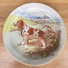 Royal doulton seriesware for sale Royal doulton seriesware for sale  YORK