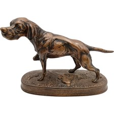 pointer dog for sale pointer dog for sale UK