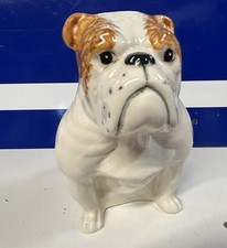 english bulldog for sale english bulldog for sale WOODHALL SPA